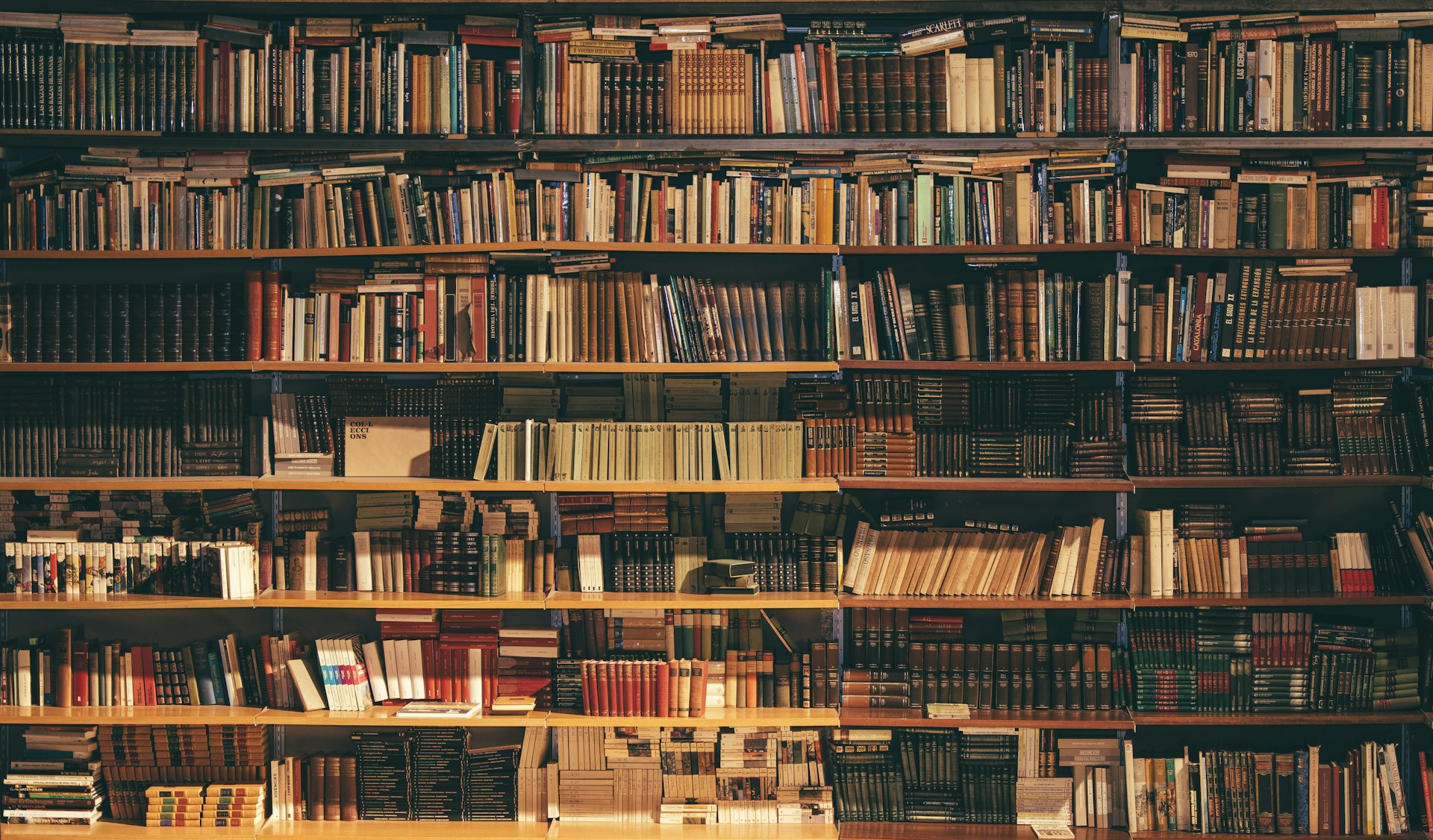 Shelves filled with books at Foxglove Books